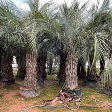 ��������Ҭ�ӻ��طNֲ�������l�㽭�ؙ���r������