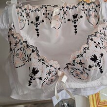 ���Qβ�δ̽����a80C85����