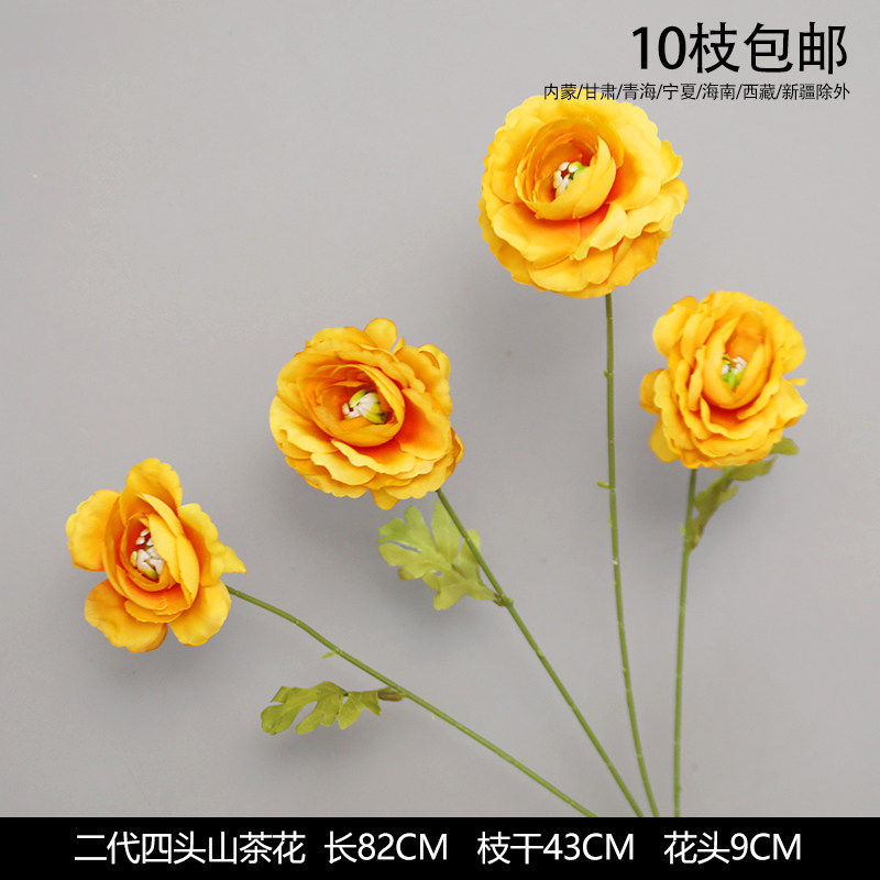二代四头山茶花