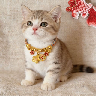 萌猫幸运项链金饰可爱项圈猫咪项圈宠物项链狗狗项圈狗狗项链可爱