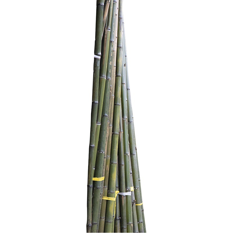 Spot big bamboo vegetable garden rack thin bamboo flagpole courtyard decoration thick bamboo pole wholesale fence bamboo fence