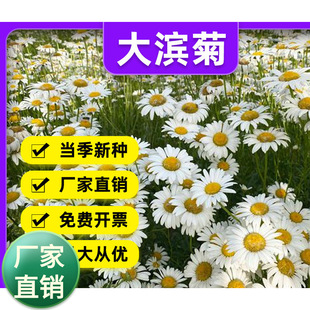 �S�����l��I�շN���׻�N�ͺ���ꎶ������޸�����ͥԺ����