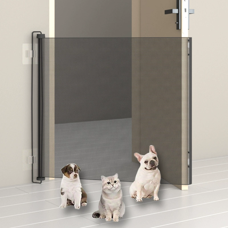 Ускорение кошек из забора