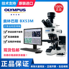 日本Olympus/奥林巴斯显微镜BX53M研究级金相偏光工业材料显微镜