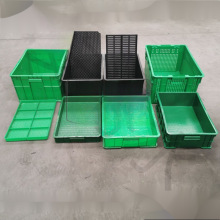 ѿ�������P����ѿˮ����ˮ�໨���Nֲ�䶹ѿ��Ҏģ�Nֲ��