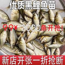 ���~����w�ɰ����~�������~ʳ�ú����~��ˮ�~����~���a�~�����