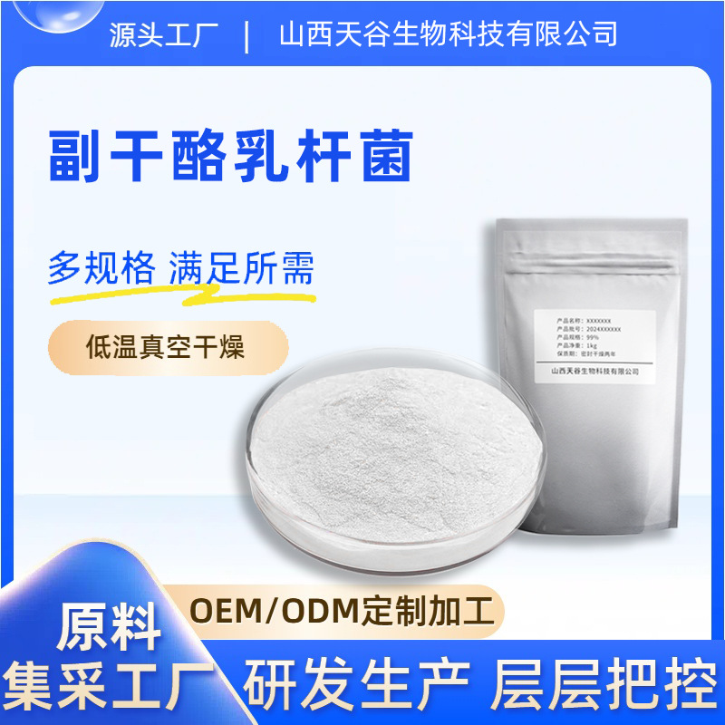 副干酪乳杆菌 100亿cfu/g 冻干乳酸菌粉 微生物菌剂 天谷现货直发