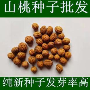 ɽ�ҷN��ë�ҷN��ɽ�ӷN���Һ��Ӻ�ɽë�ҷN���²��ҷN�����猣��