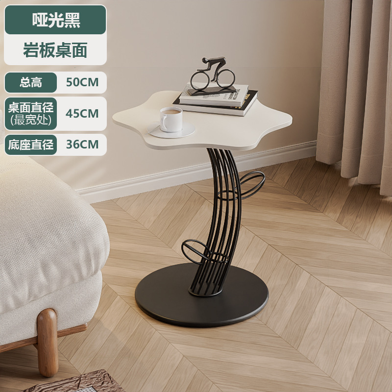 검은 선인장 + 구름 바위 석판