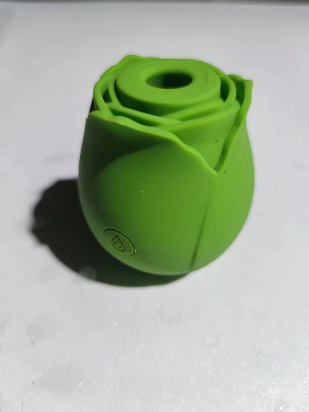 장미는 녹색 + 색상 상자에서 만나고 기뻐합니다.