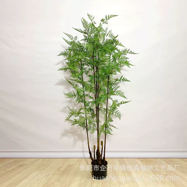 150cm