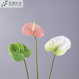 ���滨 �ָл��Q ��֦3D�t�� ���� �G�� ���ƻ�Y�Ҿ��bٻ�