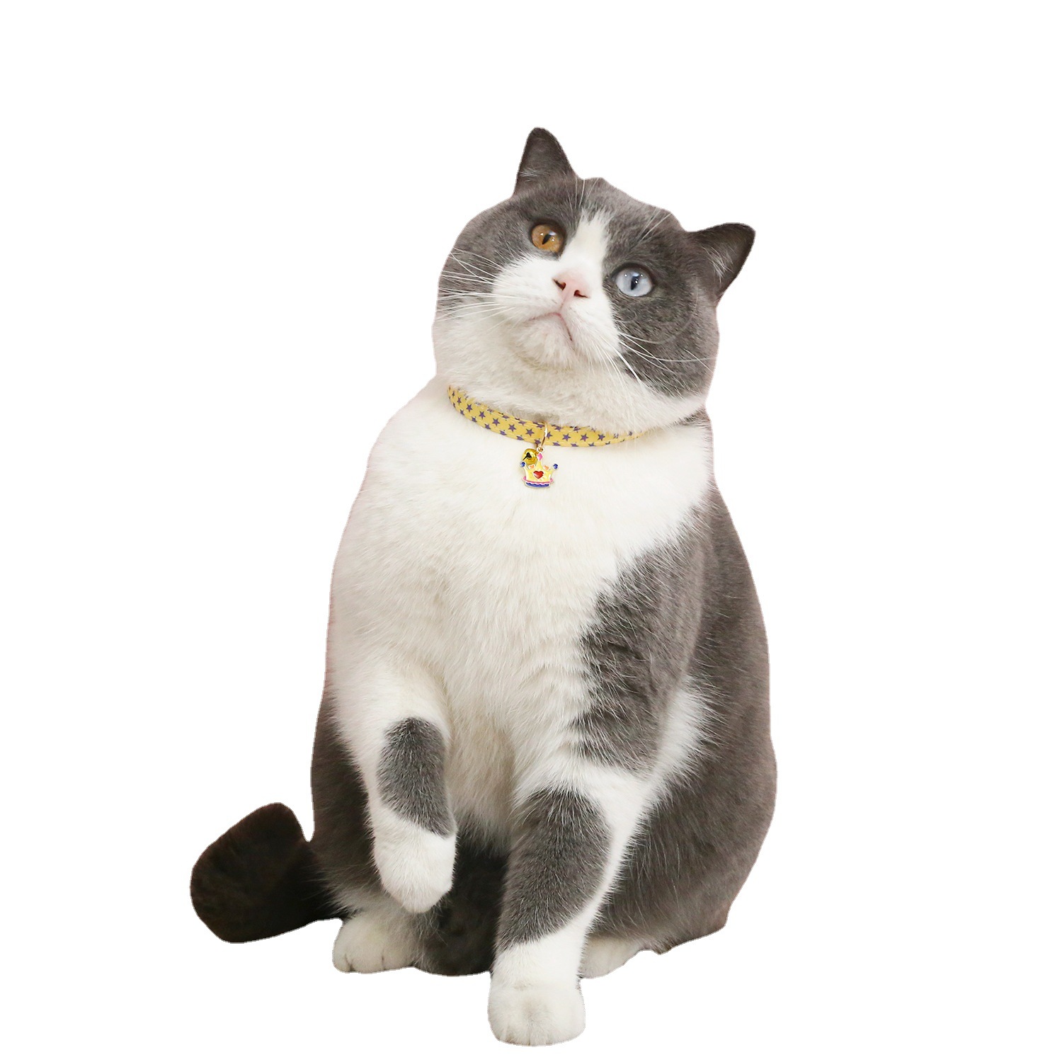 Pet ajustable doble pentagonal polvo gatos perros collar anti-asfixia campana colgante corona collar collar