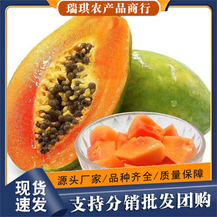 ���Ϙ�����t��ľ�ϴ������rˮ���Fժ3/5/9������ľ��ţ�̼t�Ĺ�