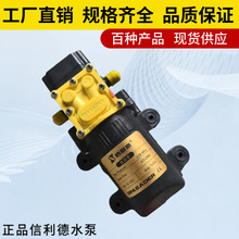 电动喷雾器水泵/福达泵/大流量回流泵/高压隔膜泵/喷雾器水泵