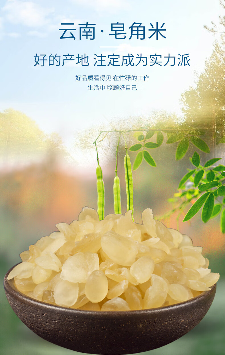 Double Pod Soapberry Seeds 500g Yunnan Natural Xue Lian Zi Snow Lotus Seeds for Dessert Soup and Herbal Cooking overview