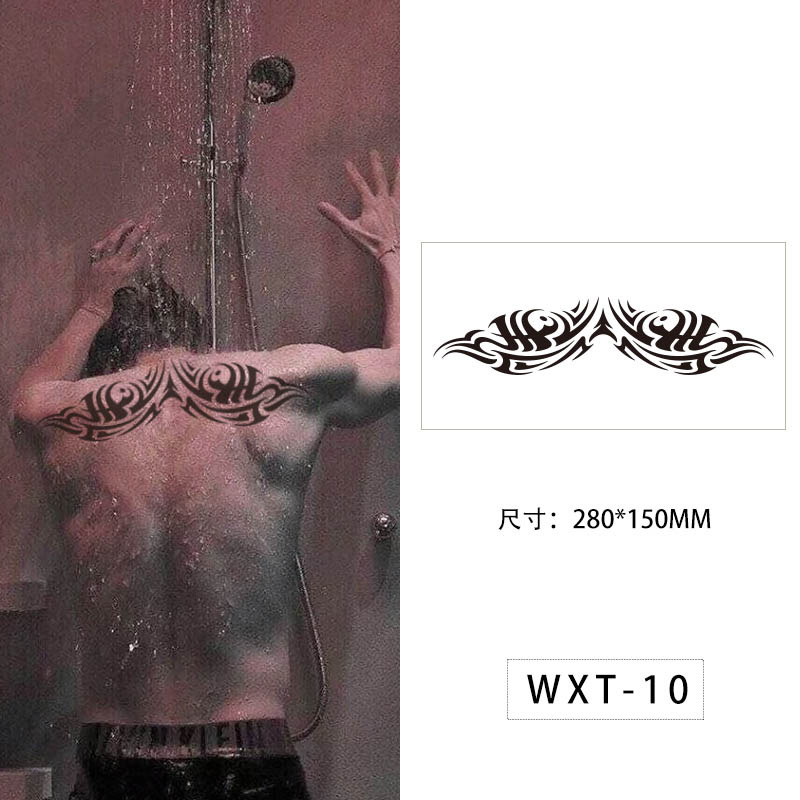 WXT-010 / 280*150MM
