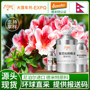 �׻����Nԭ�� Rhododendron ӡ��ֱ�� ����ԭ�����l ����܇����
