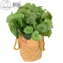 7ͷ���溣��Ҷ�����ָн�ǮҶ���ϻ�����װ�λ��컨��ֲ��ǽ�ٻ�