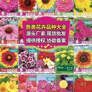 ���ܽM�ϷN���ļ����N�Ѹ��N�ļ��������̨ͥԺ�r���N�Ѵ��l���l