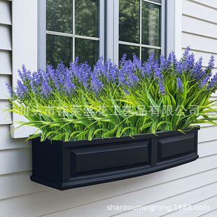 �󴺲�޹�²ݺ��Ӳ����컨���ϻ��廨ֲ�ﻨ�@�Ҿ��b����ֲ�����