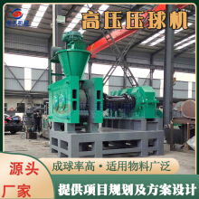 碳化灰压球设备 型煤石油焦炼钢辅助材料成型机 高压煤炭粉压球机