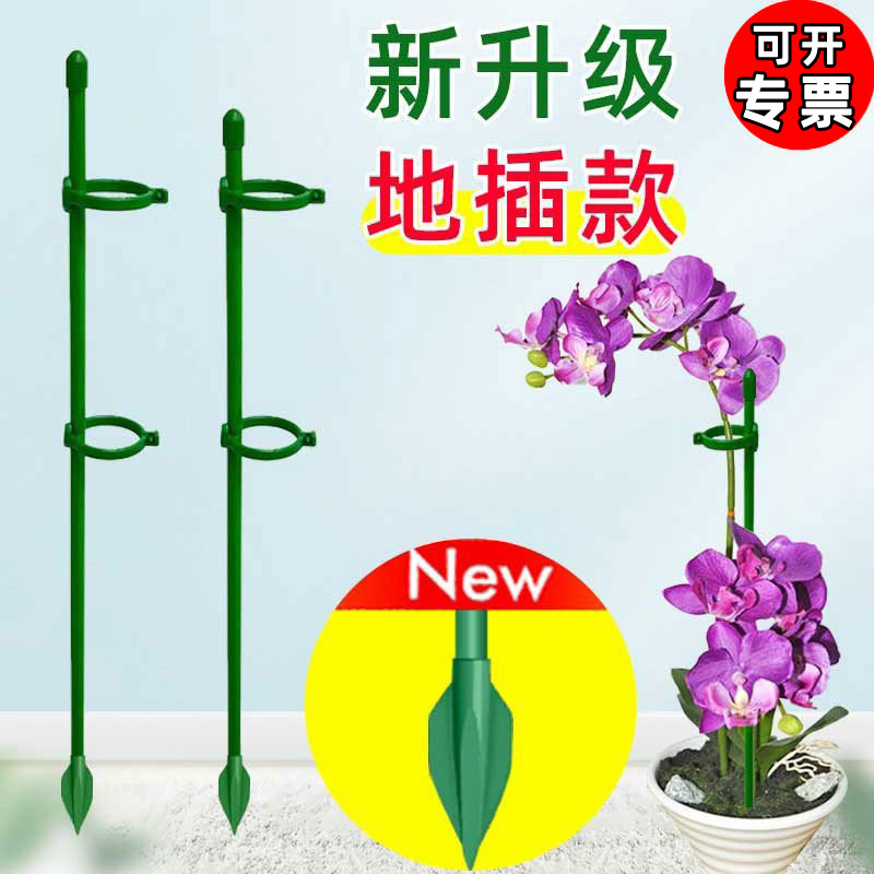 蝴蝶兰专用花架支架植物盆栽花卉造型园艺支撑杆固定防倒伏护叶架