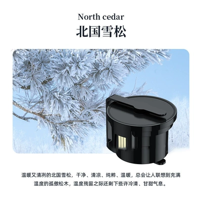 Start-Stop Spray to Eliminate Odors — Car Perfume Aromatherapy - p56-northern-cedarrefill-cartridge