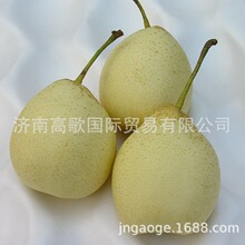 ���ҳ��깩Ӧ�¸���pear  ��ӭ����ѡ��  ��ӭѯ��