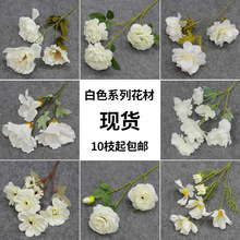 ��ɫϵ���滨�Ļ�c������Y�õ���b��ļҾӔ[�O������ꐲ廨