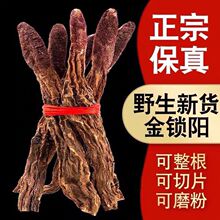 ɹҰiƬݾƲaiꖷ۴ɐ޽ݲ