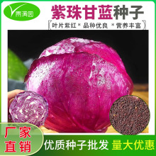 ����ϸ��{�N�����x�N���ϸ��m���Ĳ�������{�N����ɫ���ľ��Ĳ�