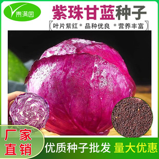 ����ϸ��{�N�����x�N���ϸ��m���Ĳ�������{�N����ɫ���ľ��Ĳ�