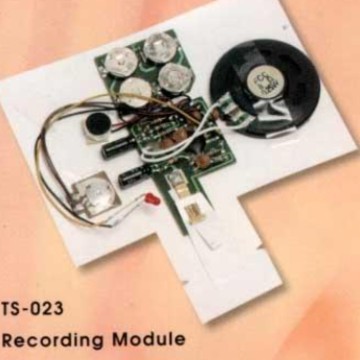 BOTAOE杭州波涛IC新电子元件厂供ISD可录可放机芯30秒IC录放芯片