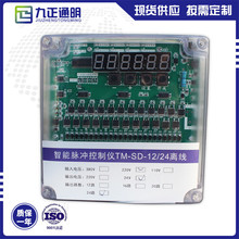 供应TM-SD-12/24离线脉冲控制仪输入220v可编程数显脉冲控制仪