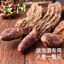 i iҰ iƬiꖲiꖲ ɐݾϰ]