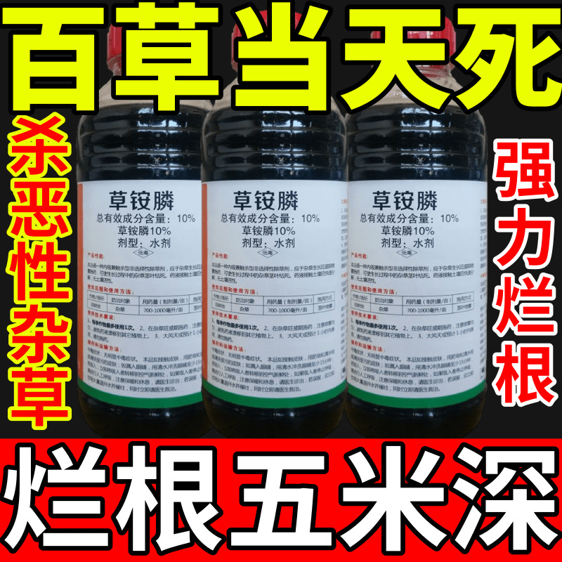 百草当天死盐除草草安草铵磷草胺磷除牛筋草小飞蓬农药强力除草剂
