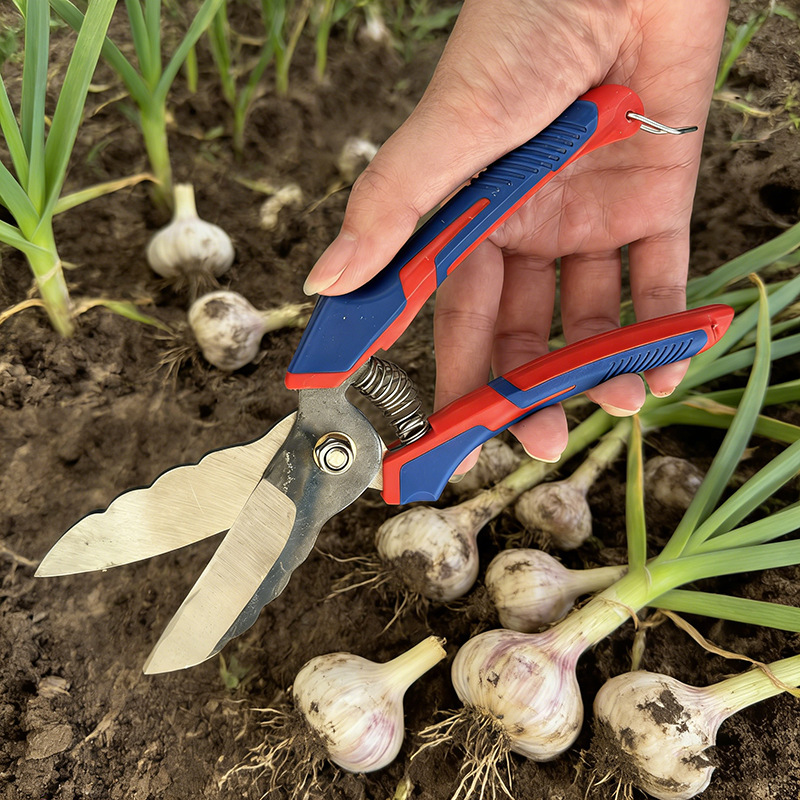 图片背景添加 (7).png