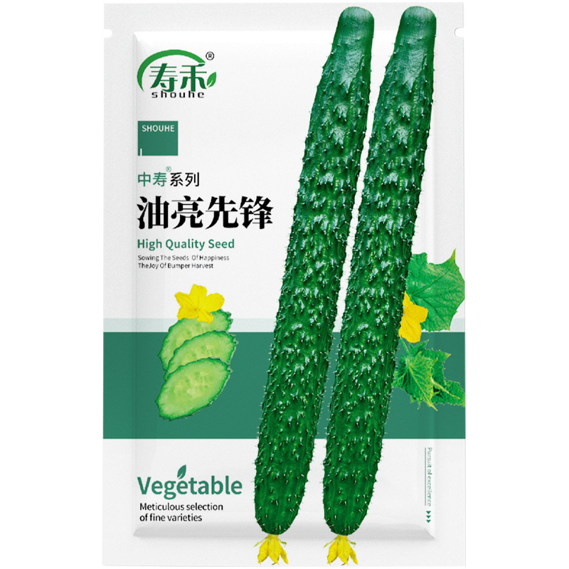 Local Cucumber Seedlings, Spring and Summer Cucumber Old Fruit Seedlings, Seeds, Larvae Seedlings, Southern Seedlings Local Cucumber Seedlings, Spring and Summer Cucumber Old Fruit Seedlings, Seeds, Larvae Seedlings, Southern Seedlings