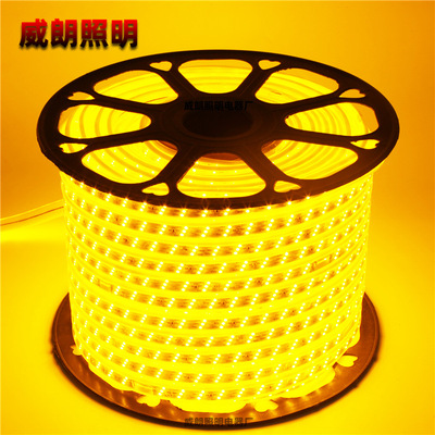 5050rgb2835霓虹防水高压220v柔性软硅胶led灯带批发户外5730灯条|ms