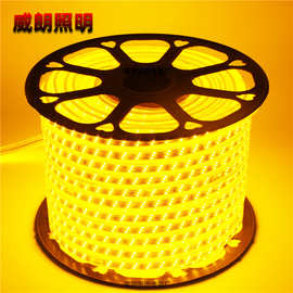 5050rgb2835霓虹防水高压220v柔性软硅胶led灯带批发户外5730灯条