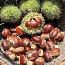 ̩�������� �S �ؼ����� ��ŴM 40-60/30-40/40-50KG