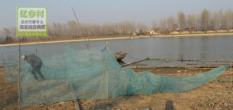 Anchura 2 M 1 m Longitud de la cola 2 M