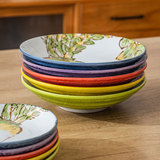 Япония импортированная керамика глубокого диска.