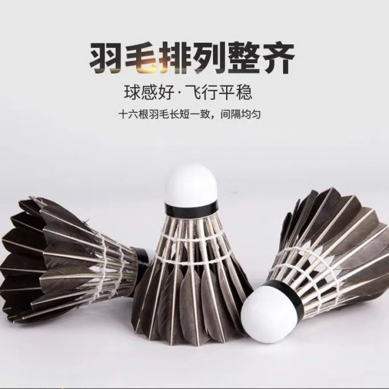 Durable Badminton Golden King Indoor and Outdoor Durable Badminton 6 Pieces 12 Pieces Packed Badminton Not Easy to Rot Wholesale