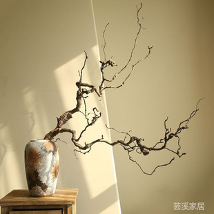 新款干枯龙枣树枝条天然干枝禅意枯枝插花装饰客创意枯木枝干摆件-阿里巴巴