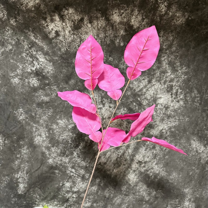 Grapefruit leaves-rose red