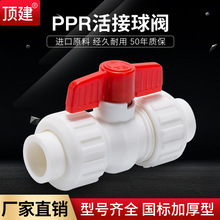 顶建双活接全塑球阀加厚20 25 32 40 50PPR水管配件自来水管阀门