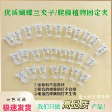 �����m���܊A��ֲ�����ٹ̶��A�@ˇ�m���A�����F�z����������ֲ��