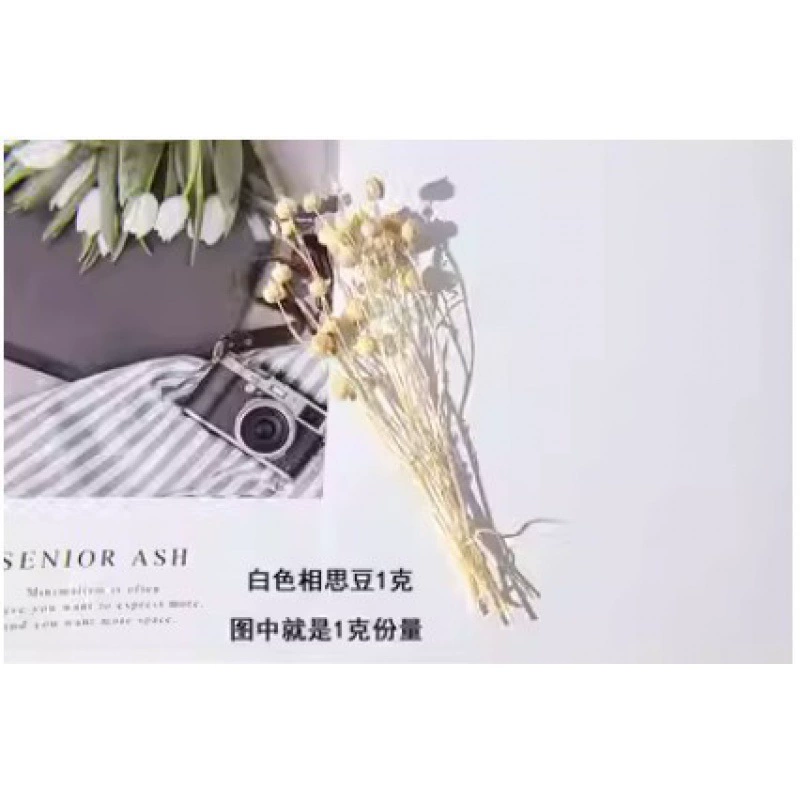 Organic sample, photo frame handmade, Christmas materials set, DIY